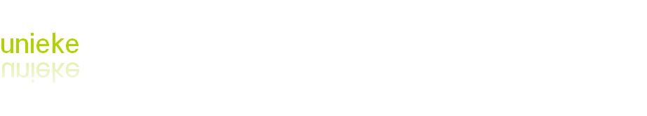 MioMare’s businessplan met
unieke strandslaaphuisjes